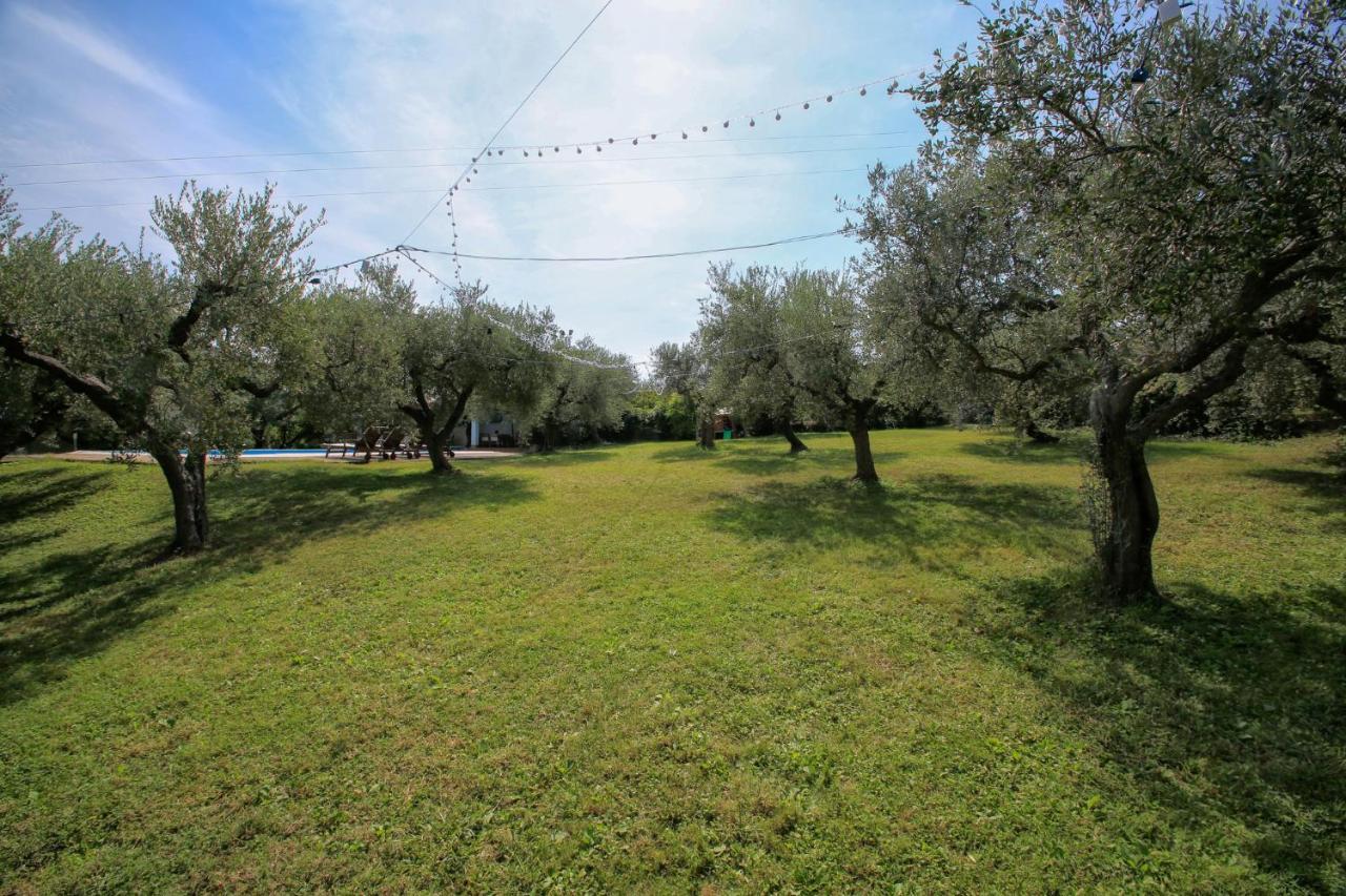 B&B Arli Torrevecchia Teatina Εξωτερικό φωτογραφία